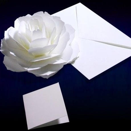 59b28ac1f22a5b16cd00208d