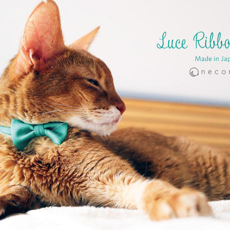 猫用首輪 Stores