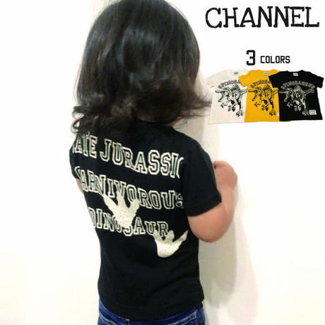 5cb9e96b0b92116351370747