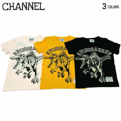 5cb9e96b0b92116351370747
