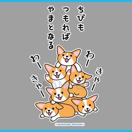 5cc279f7d211bf3bf2c8a351