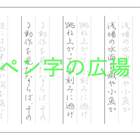 5a2fea3392d75f1090002d46
