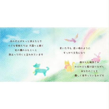5e13c685da89645ddd70aea9