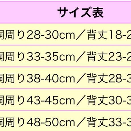 5d0d9677eb3ef91a2f87bee2