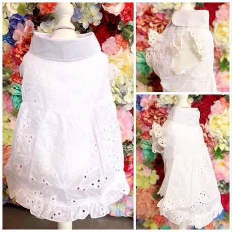 5cff062ab8174c66dab565ef