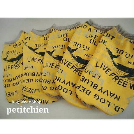 591a7f77428f2d2ffe0022e8