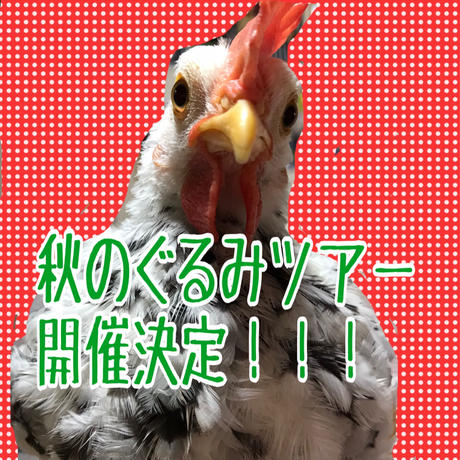 5f5a0914f9c5904957410b36