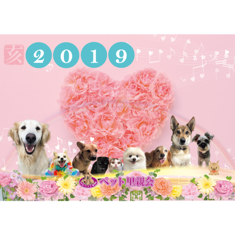 5bc0b550626c8464800002f3