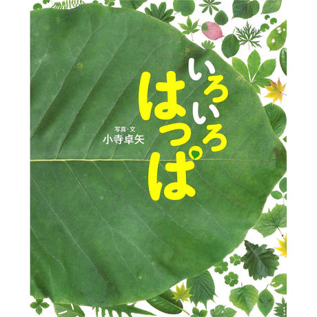 5e6b18482a9a42108cb77d0e