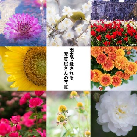 5af7f5a150bbc363b8000f01