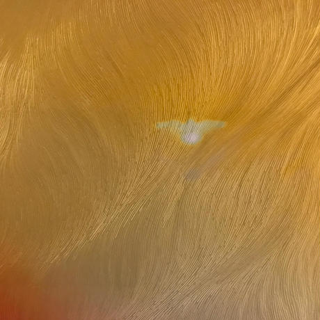 5b02973f5f78662761000026