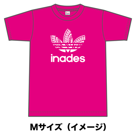 582bbc1900d331ffd1001a55