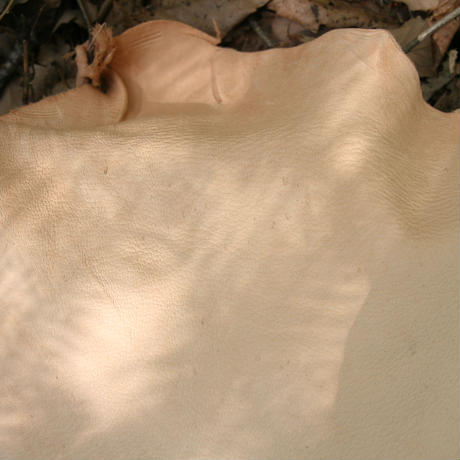 5eaab82355fa037316d58270