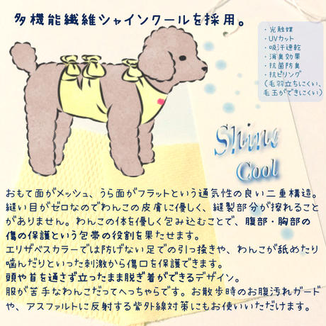 585787cea458c0f6bd00062c