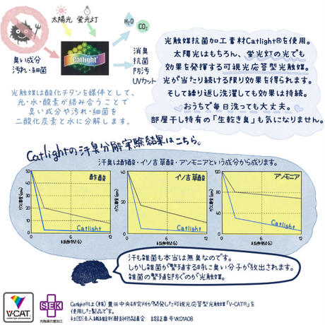 589c183441f8e83ea2008a56
