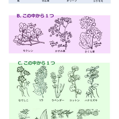5c57dff8c2fc28603a0a22e3