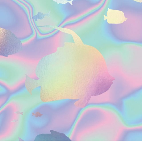 5c6baf43c2fc281d21e9cde2