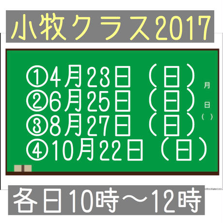 588ea17310031569ed019756