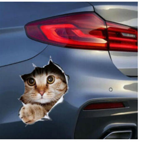 カーステッカー Stores