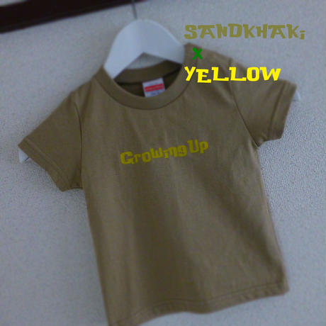 5bbccaf3a6e6ee44ac000015