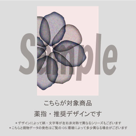 5c9df7553207bc64ff5bf844