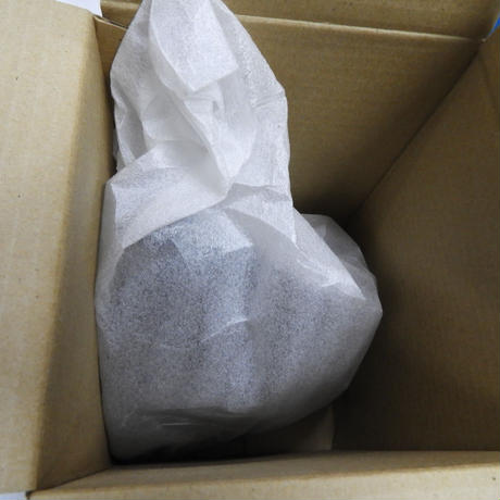 5bd826975496ff210a000213
