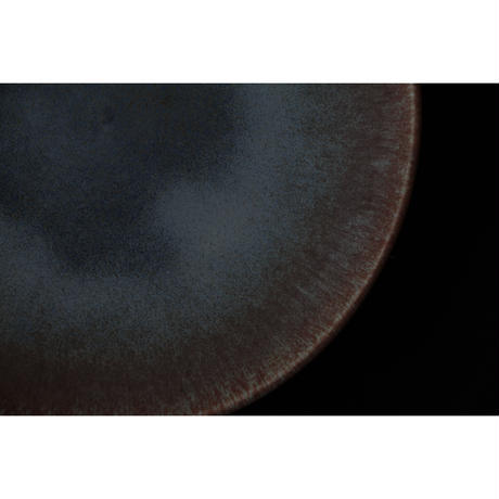5a6999bced05e64f4f000764