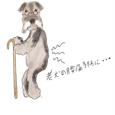5d7a189cd0f2563f004d23a5