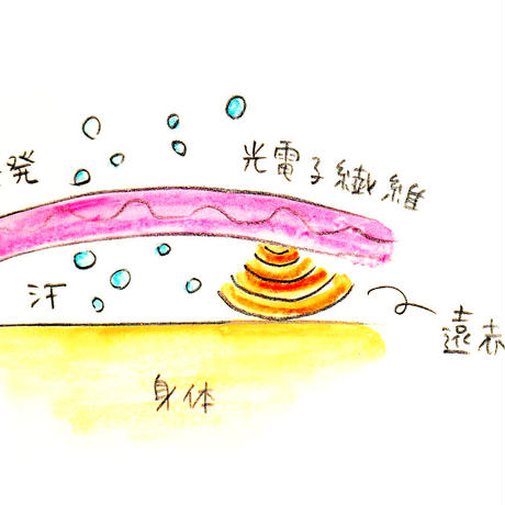 59360a62ed05e6782d0066f3
