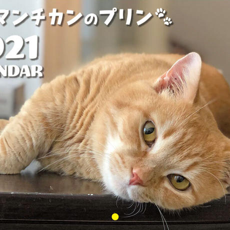 マンチカン Stores