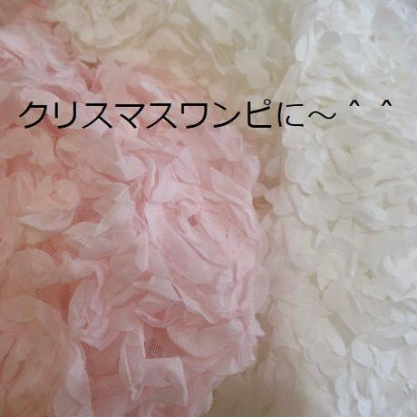 5dd2aade6379441fc349bf00