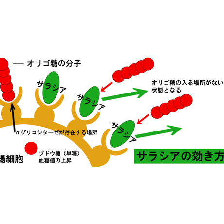 52d612da236a1e1843000071