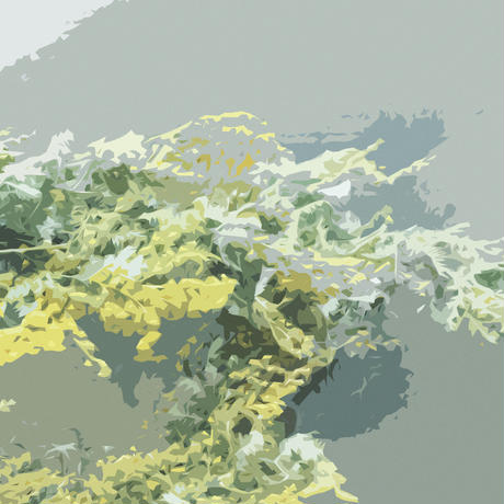58b009fc41f8e8a28d000ffb