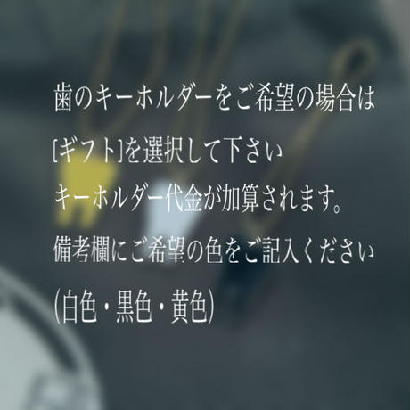 5ccb84830b9211162252ba4d