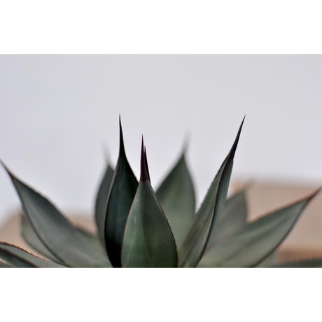 5c225007c49cf33bb0667c30
