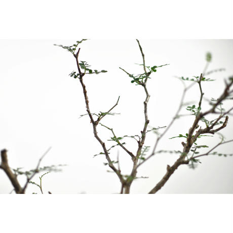 5f378da6791d020884056025