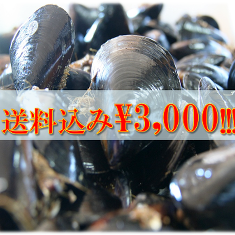 5280f1113e7a4a22bb000188