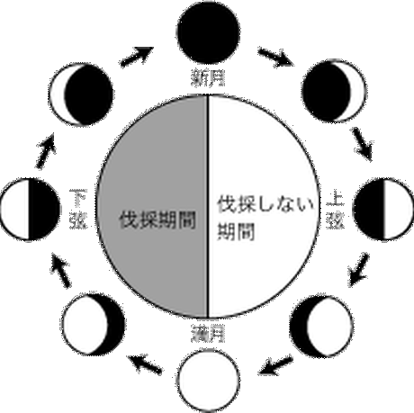 5b46156b50bbc36ed8001a6b