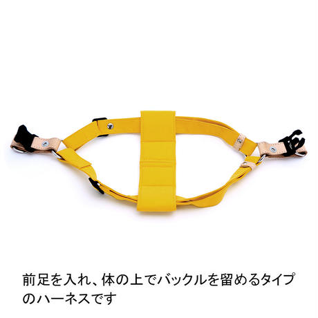 558aa0b62b3492c1e2000d50