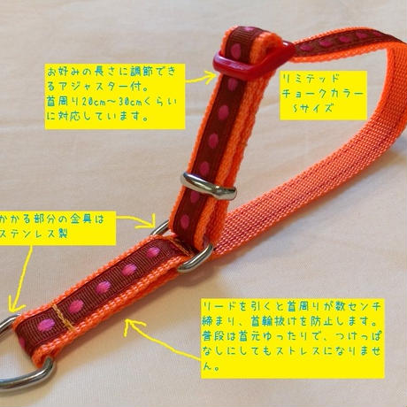 59dc8d29f22a5b32e5000a78