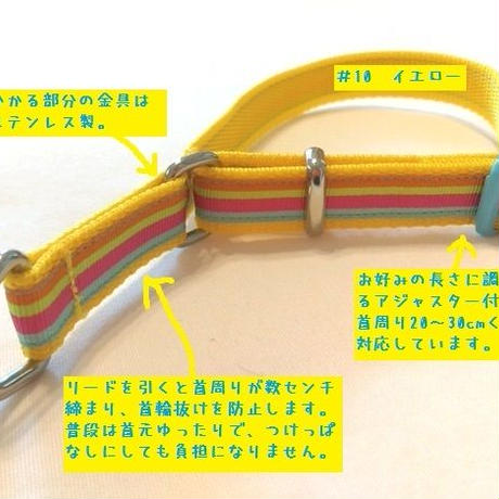 59a42232cf19cf0d60000572