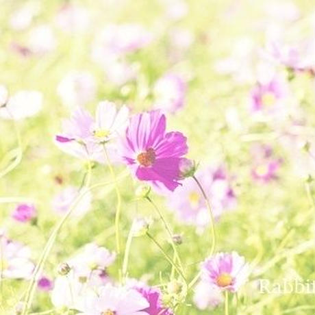 5d42cafb2e89b7327cd8b507