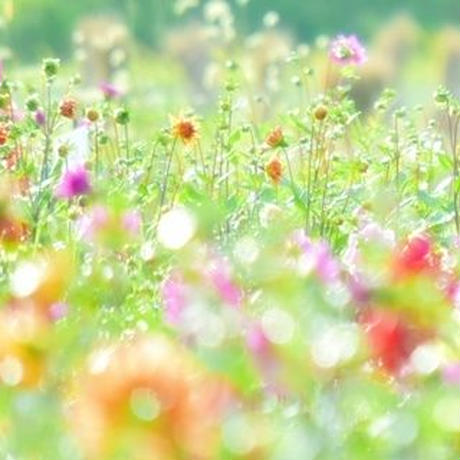 5d42cafb2e89b7327cd8b507