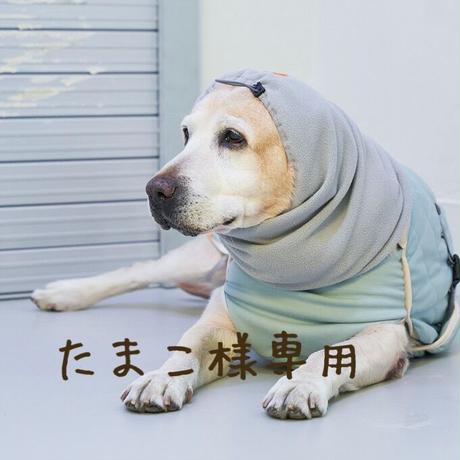 C8 Arhx4q92pxm C8 Arhx4q92pxm