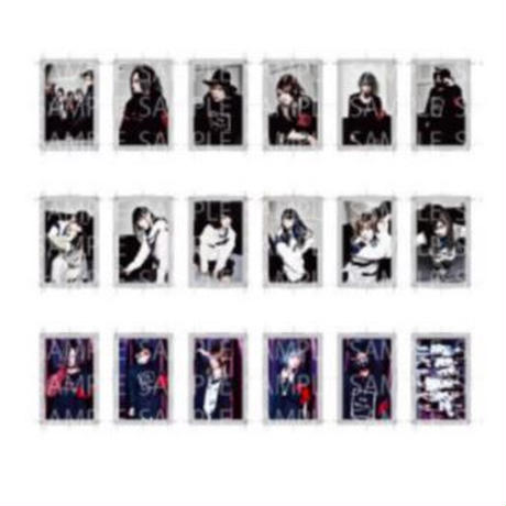 5a386b9292d75f7fea0003c6