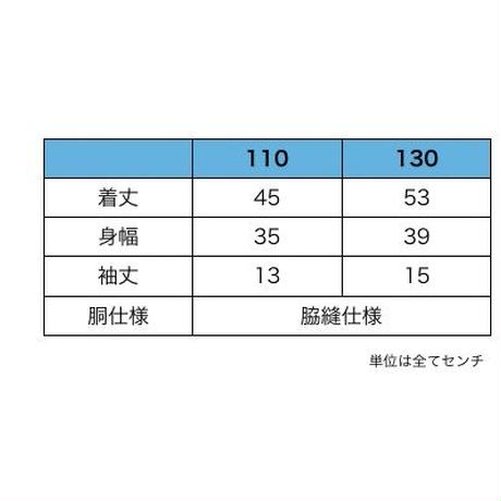 58cf3368d3b2a070ce016528