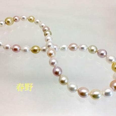 5c7103abc2fc28558dd3bdea