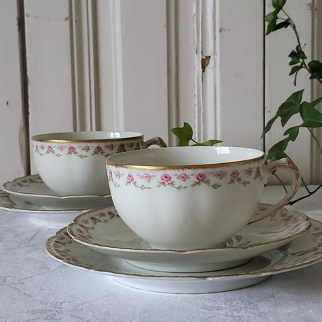 ローズガーランド Stores