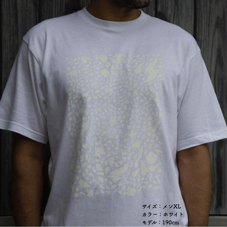 5d317b683a7e9630a4d247c2