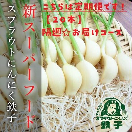 5dde4f82a551d54b22335083